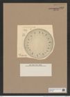 Stephanopyxis weissflogii Schm. (de-Toni-Nr.: Genus 187, Species 4655) Zeichnungen Sammlung Grunow Nr. 8303 (NHMW-BOT-W0377702)